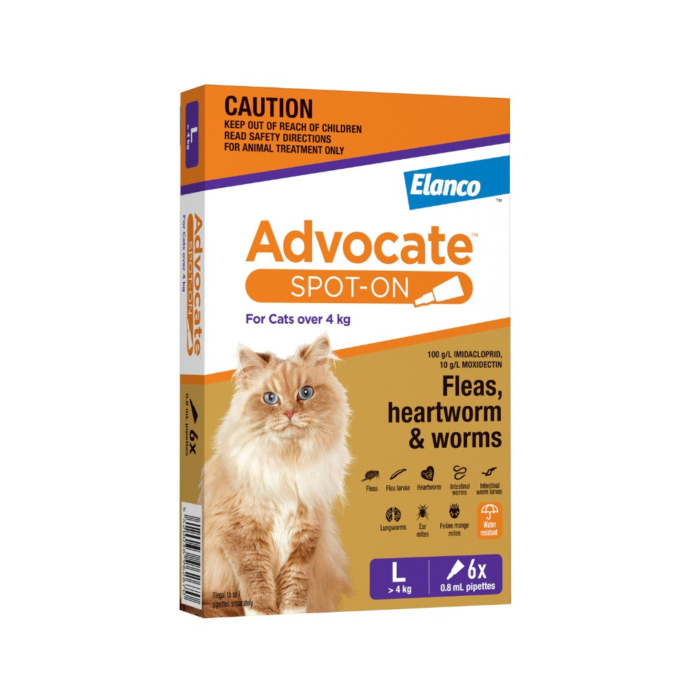 Advocate Spot-On Flea & Worm Treatment >4kg Cat