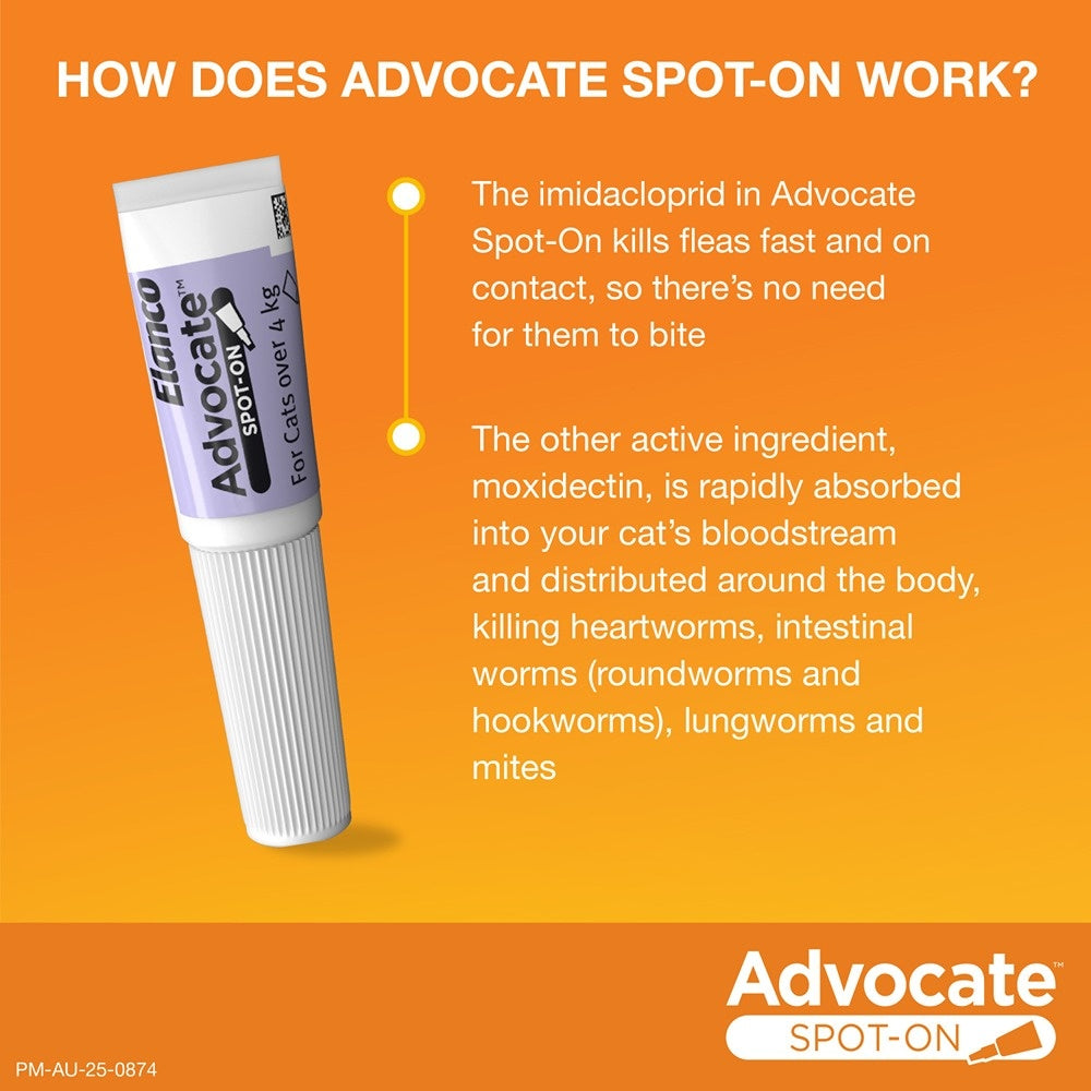 Advocate Spot-On Flea & Worm Treatment >4kg Cat