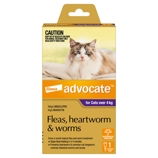 Advocate Flea & Worm Treatment >4kg Cat