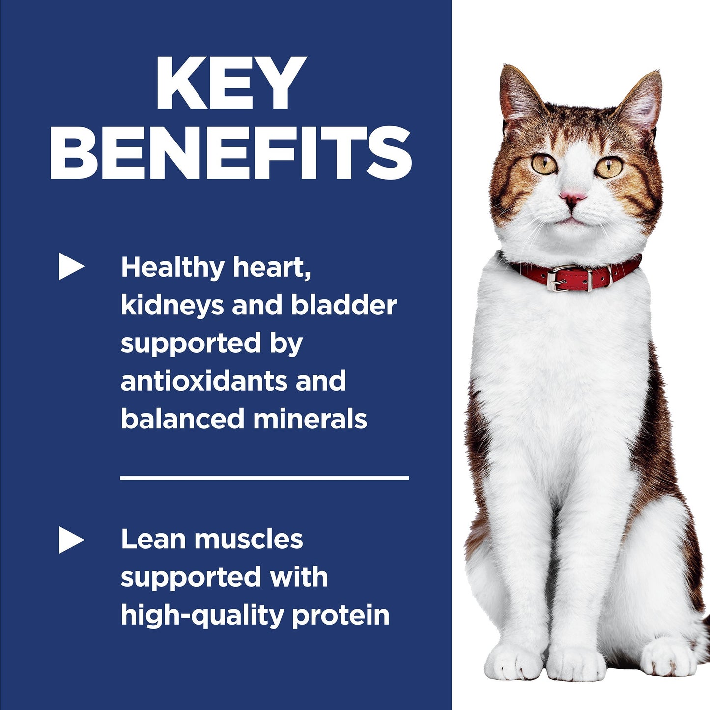 Hill's Science Diet 7+ Adult Dry Cat Food