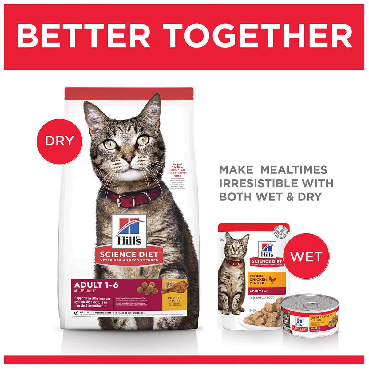 Hill's Science Diet Adult Dry Cat Food