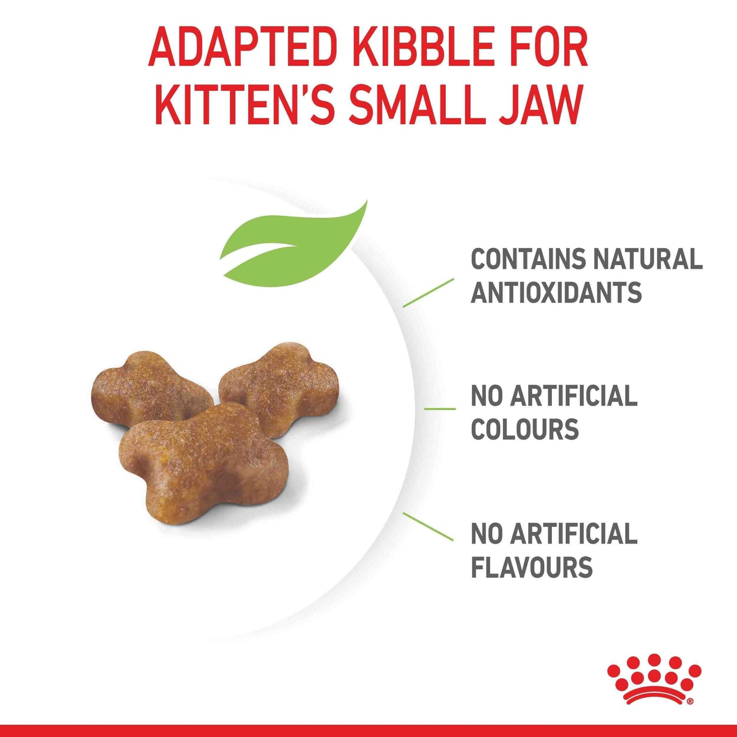 Royal Canin Kitten Dry Cat Food