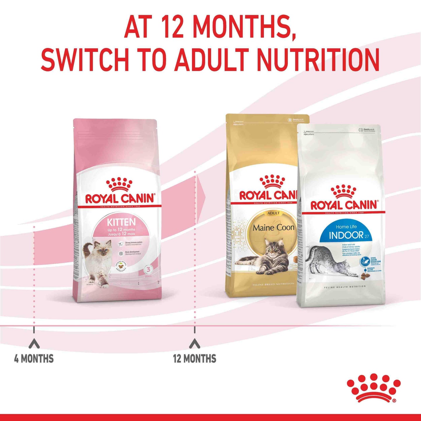 Royal Canin Kitten Dry Cat Food