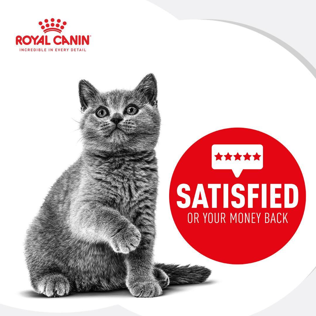 Royal Canin Kitten Dry Cat Food