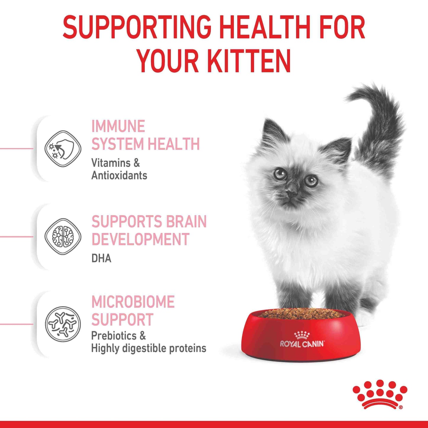 Royal Canin Kitten Dry Cat Food