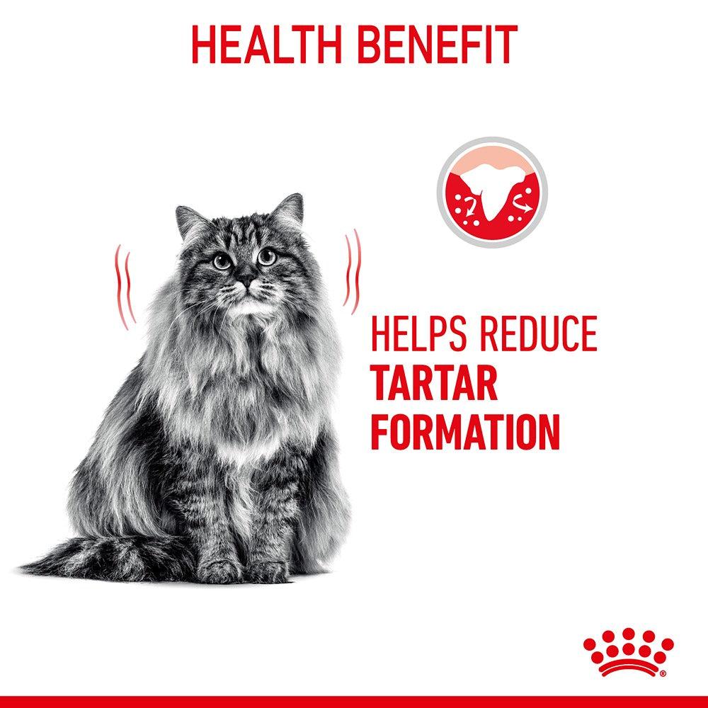 Royal Canin Dental Care Adult Dry Cat Food