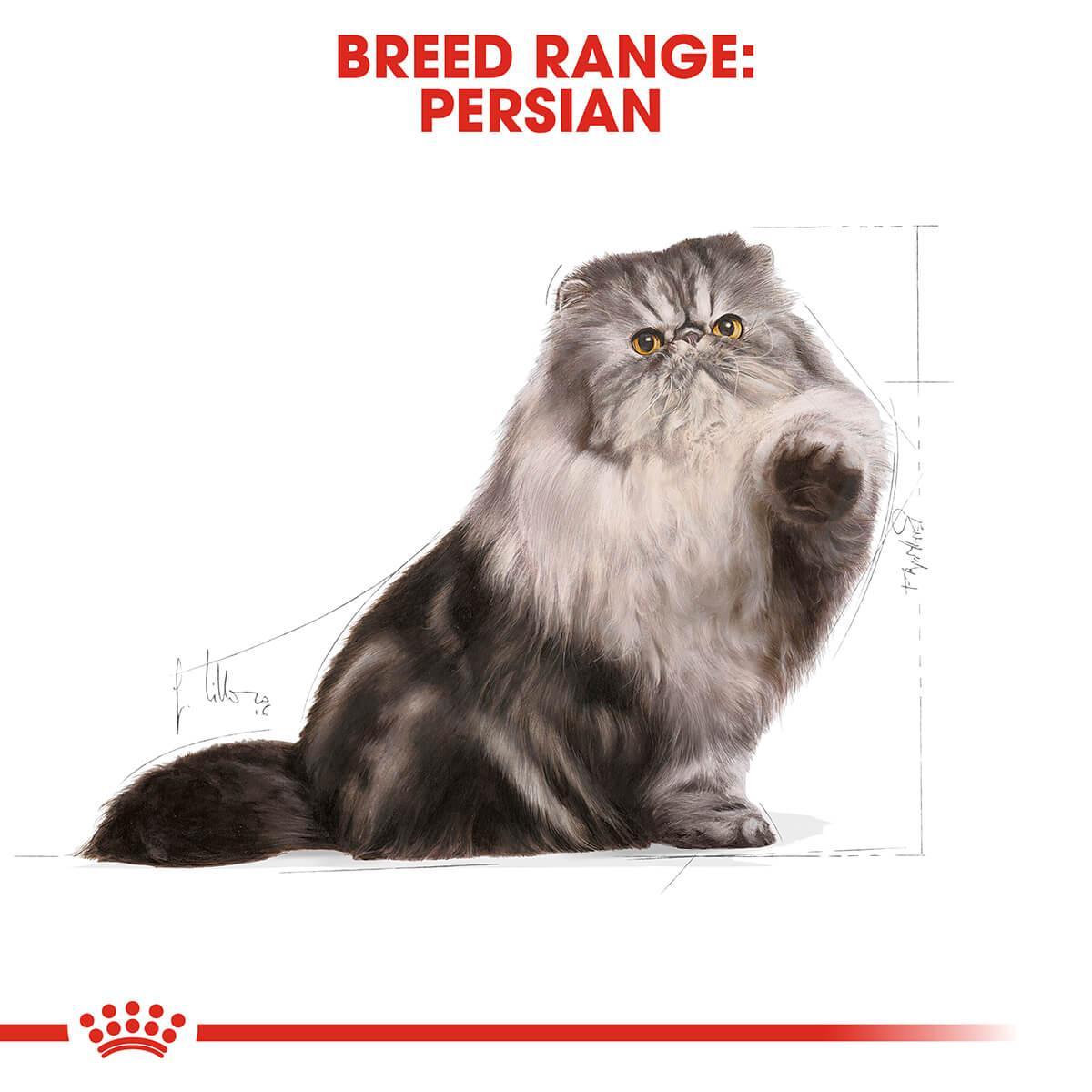 Royal Canin Persian Adult Dry Cat Food