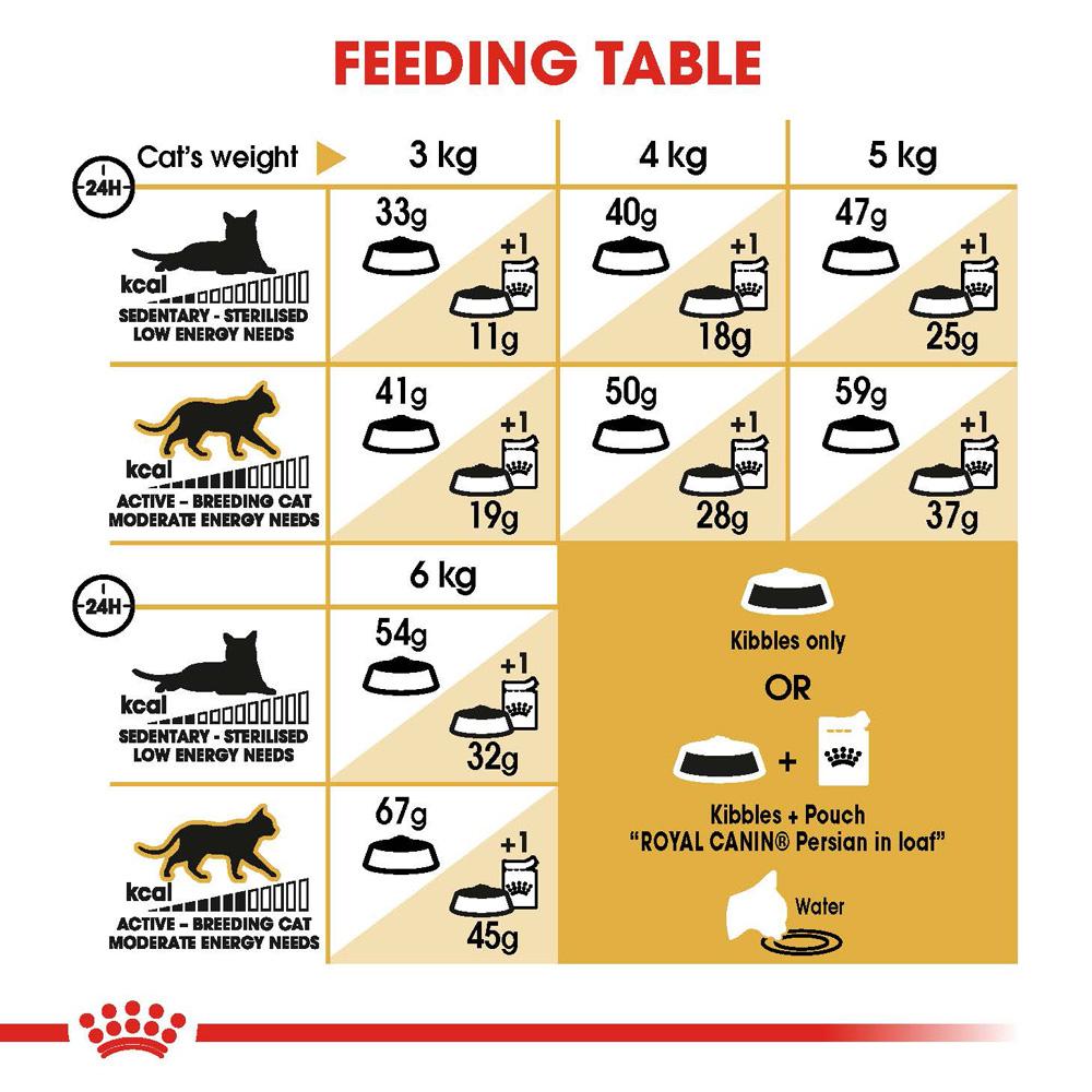 Royal Canin Persian Adult Dry Cat Food