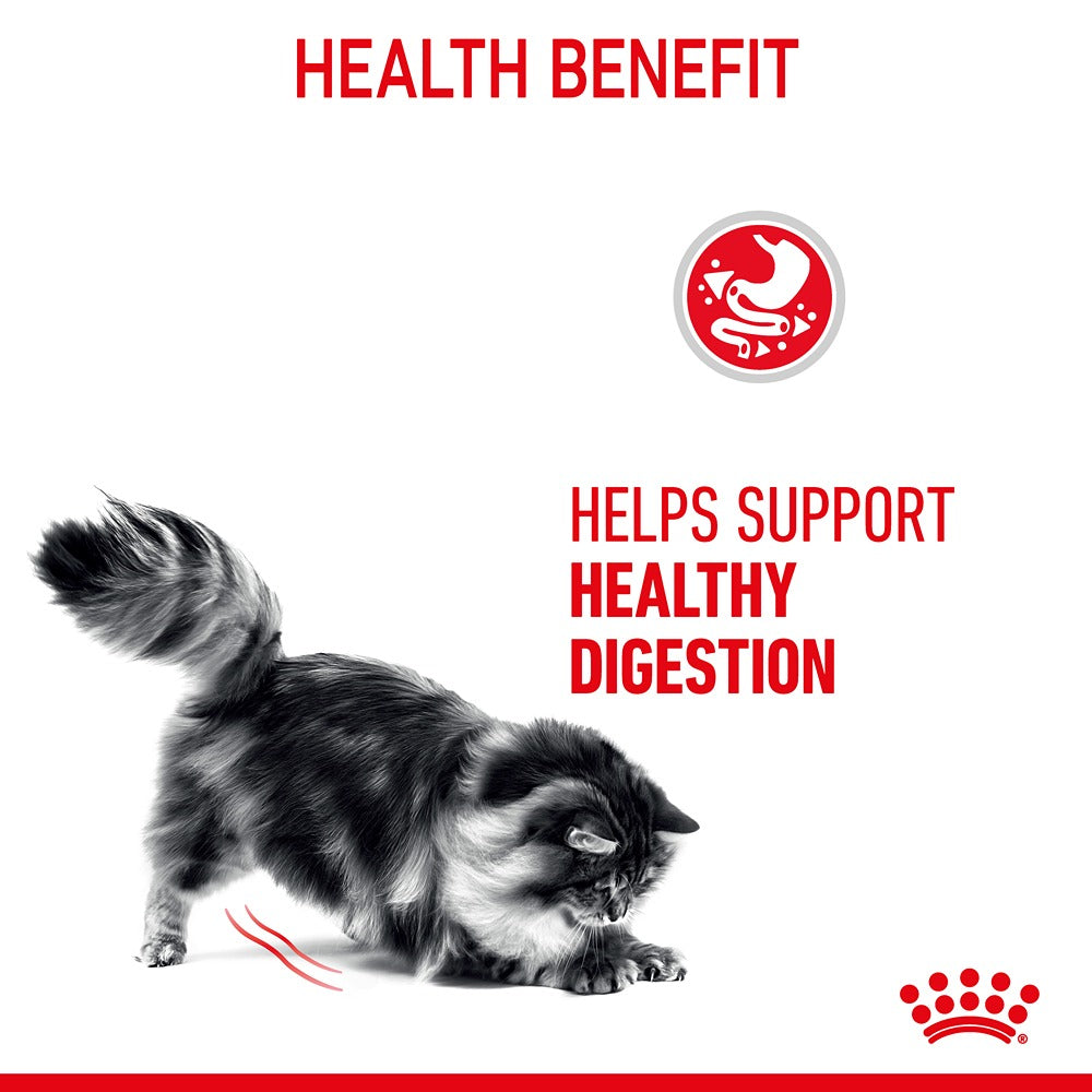 Royal Canin Digestive Care Gravy Adult Wet Cat Food 85g