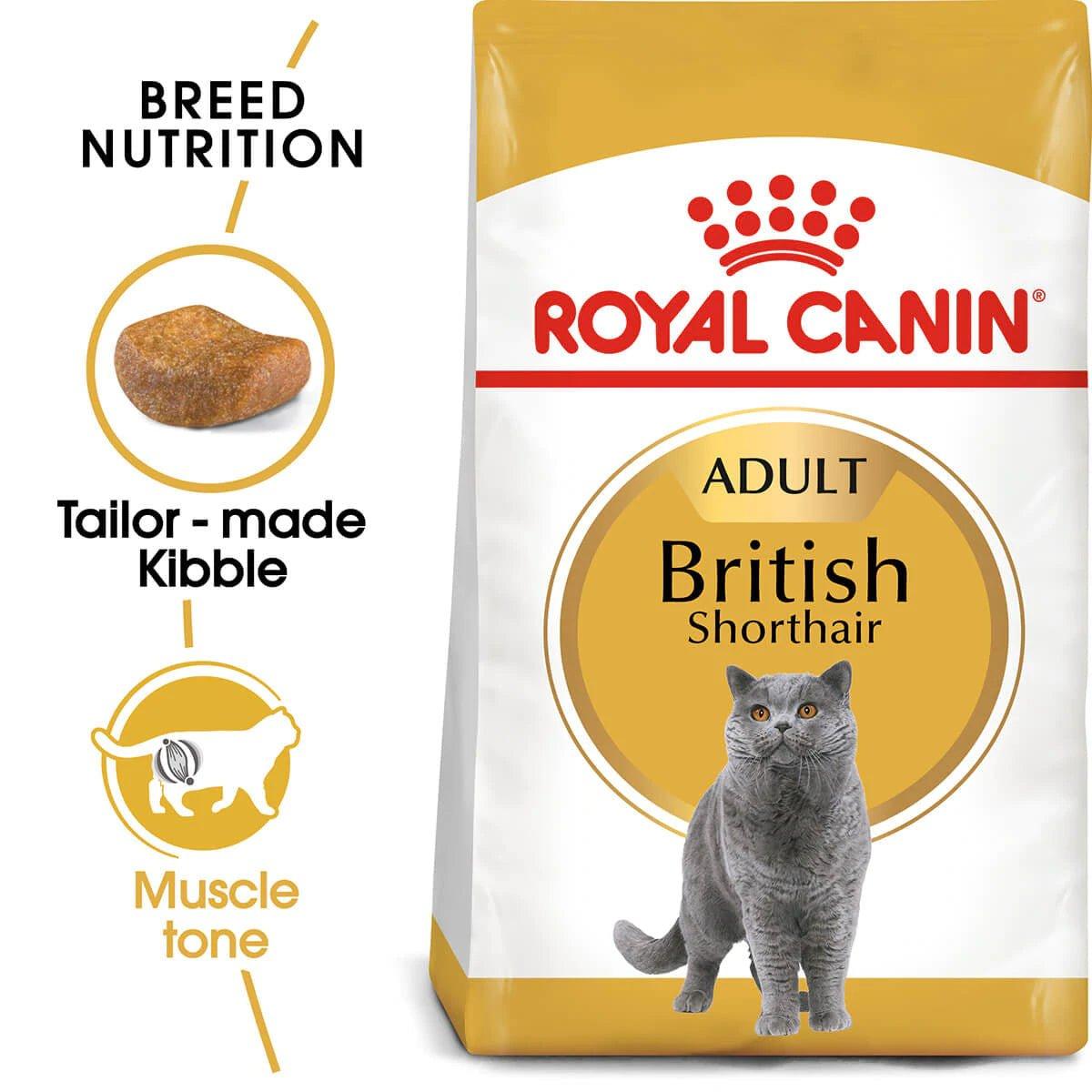 Royal Canin British Shorthair Adult Dry Cat Food