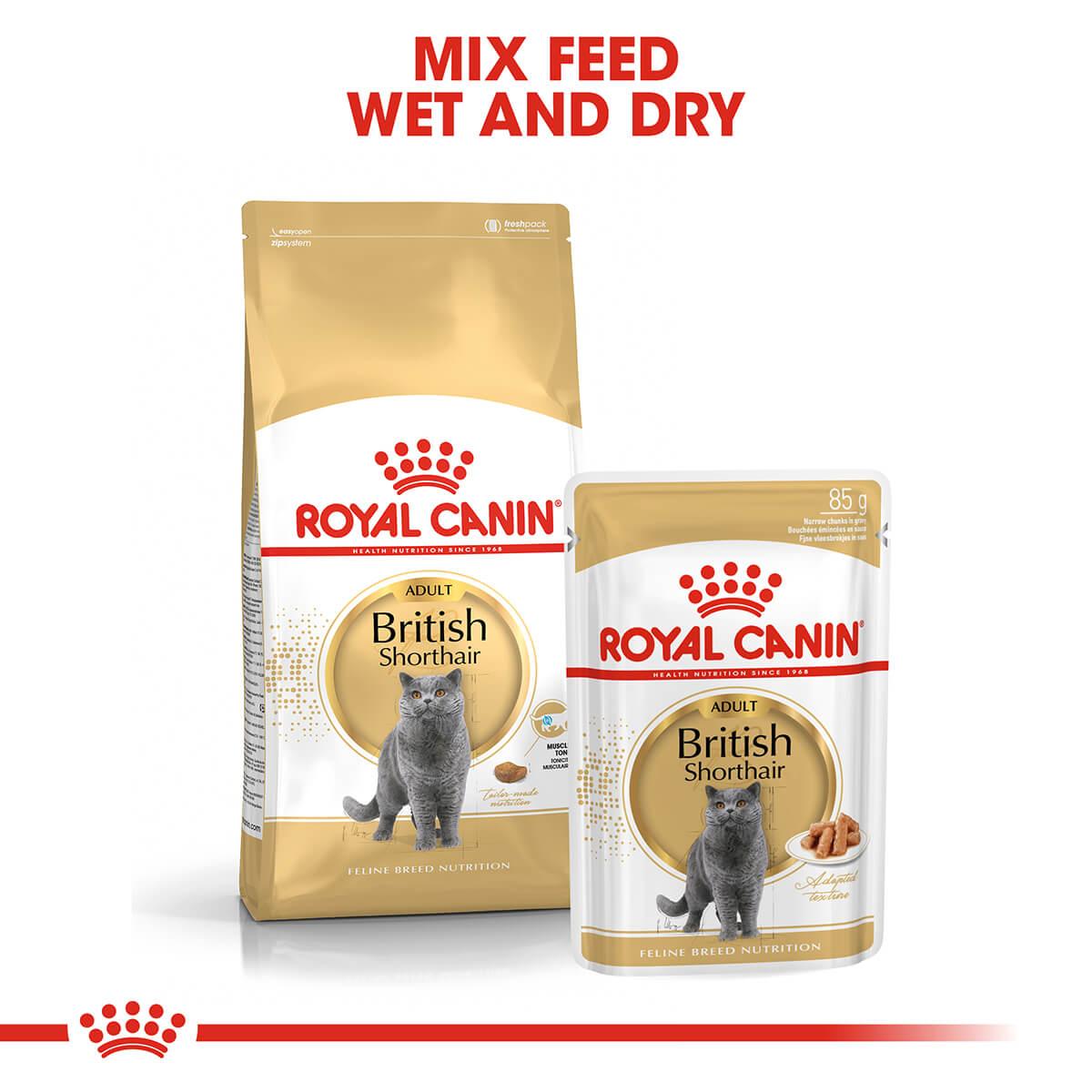 Royal Canin British Shorthair Adult Dry Cat Food