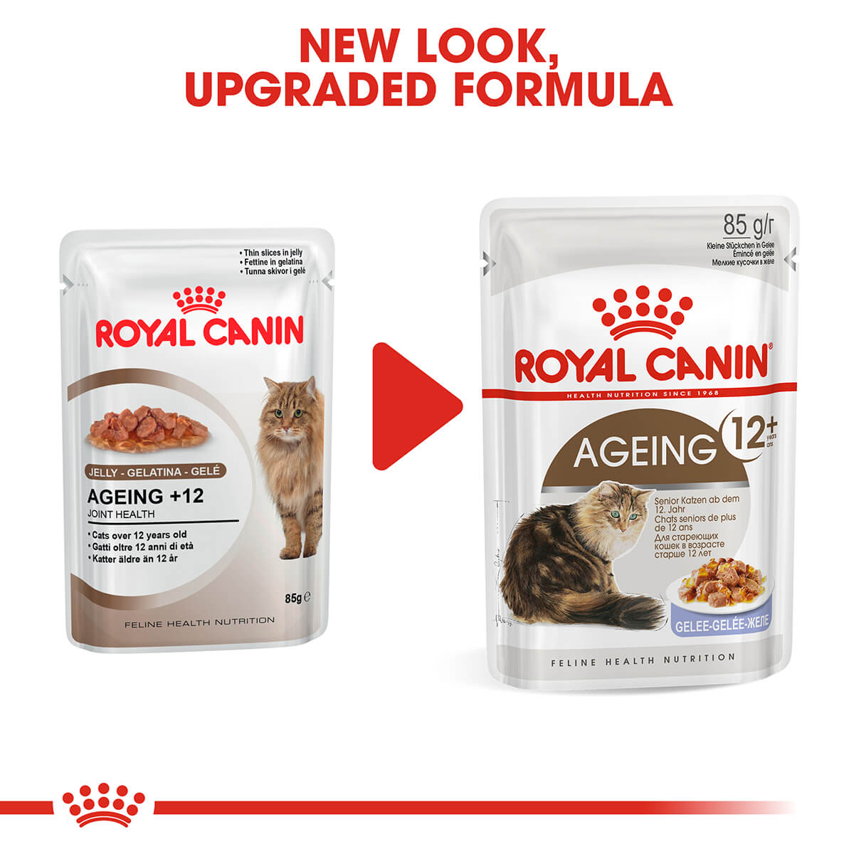 Royal Canin Ageing 12+ Senior In Jelly Wet Cat Food 85G