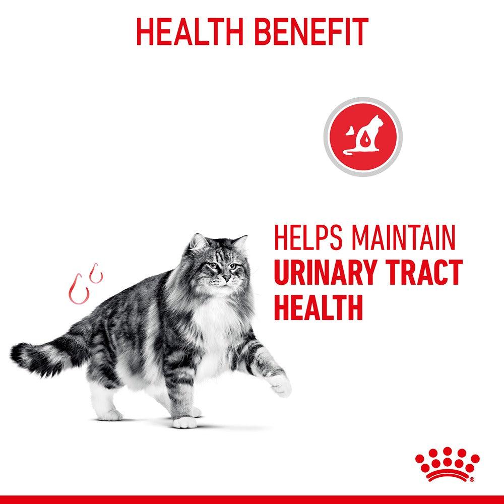 Royal Canin Urinary Care Adult Dry Cat Food