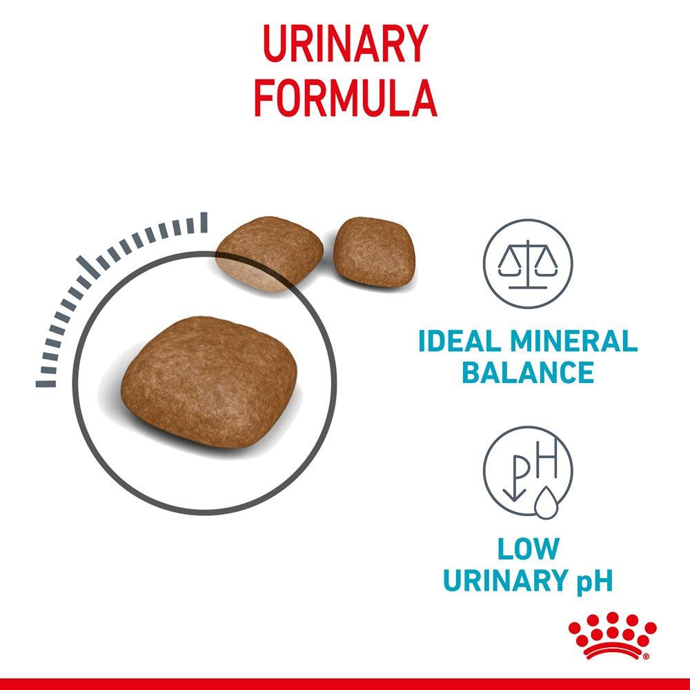 Royal Canin Urinary Care Adult Dry Cat Food