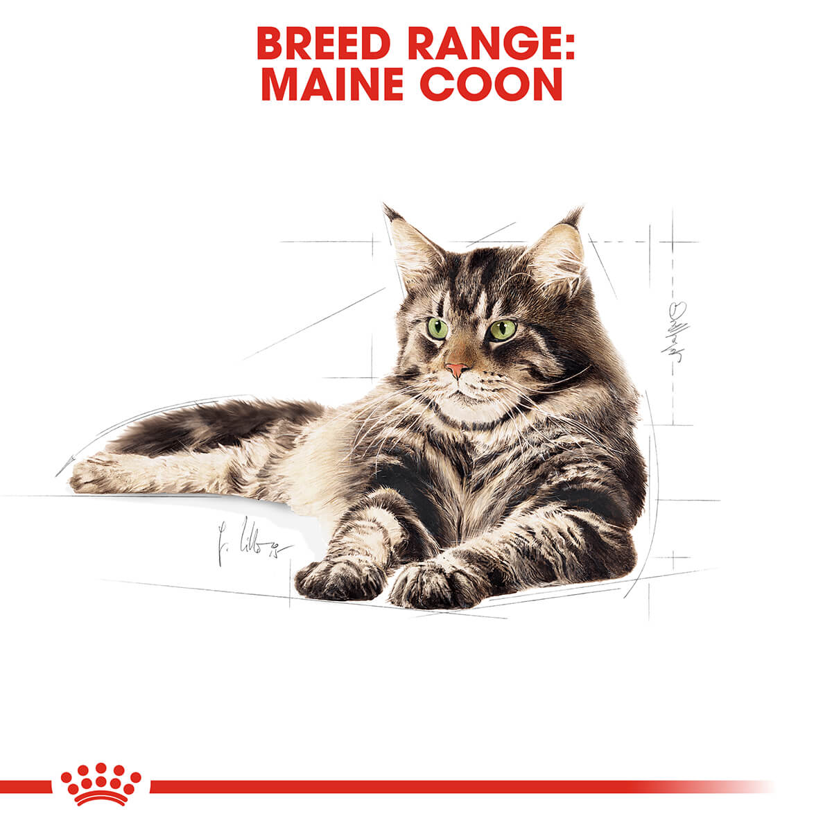 Royal Canin Maine Coon Adult In Gravy Wet Cat Food 85G