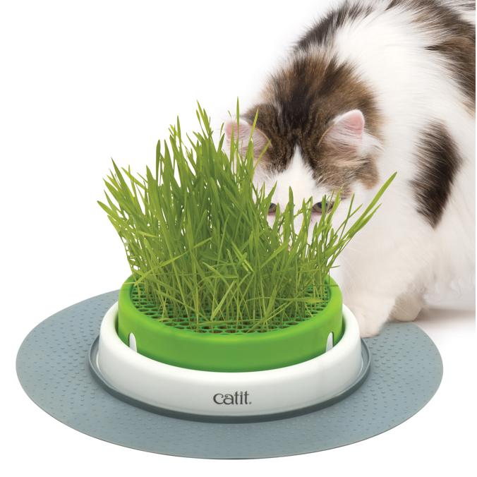 Catit Senses 2.0 Grass Planter