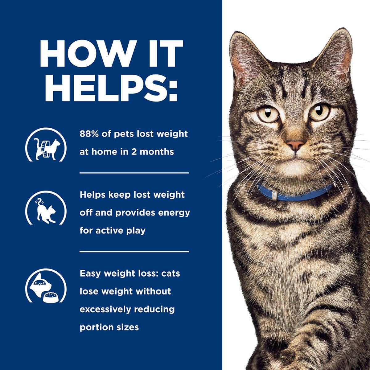Hill's Prescription Diet Metabolic Weight Management Dry Cat Food