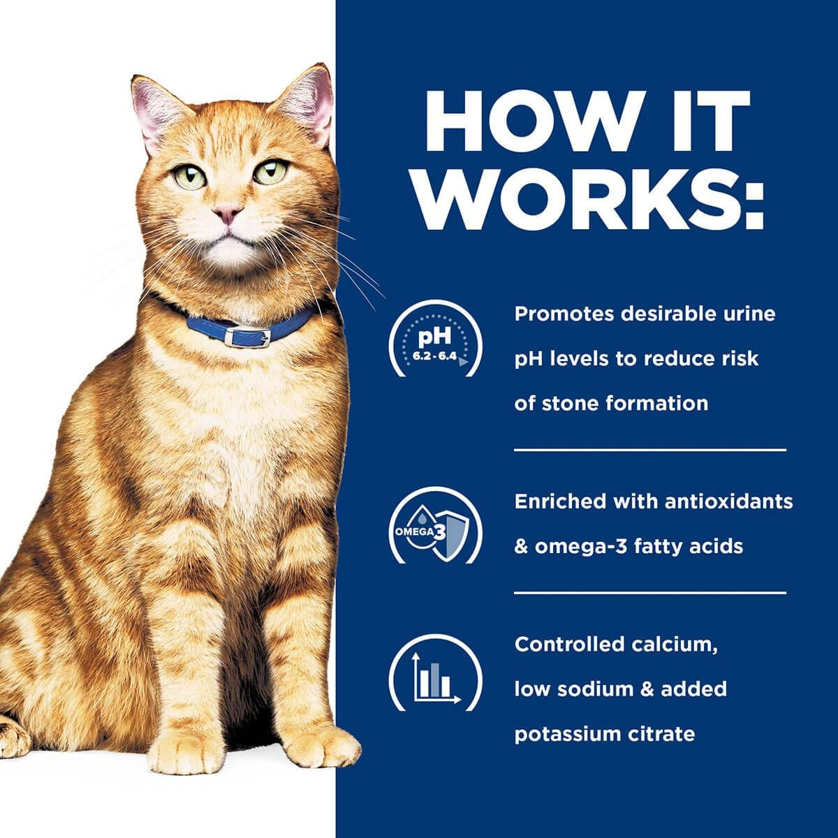 Hill's Prescription Diet C/D Urinary Care Chicken & Vegetable Stew Wet Cat Food