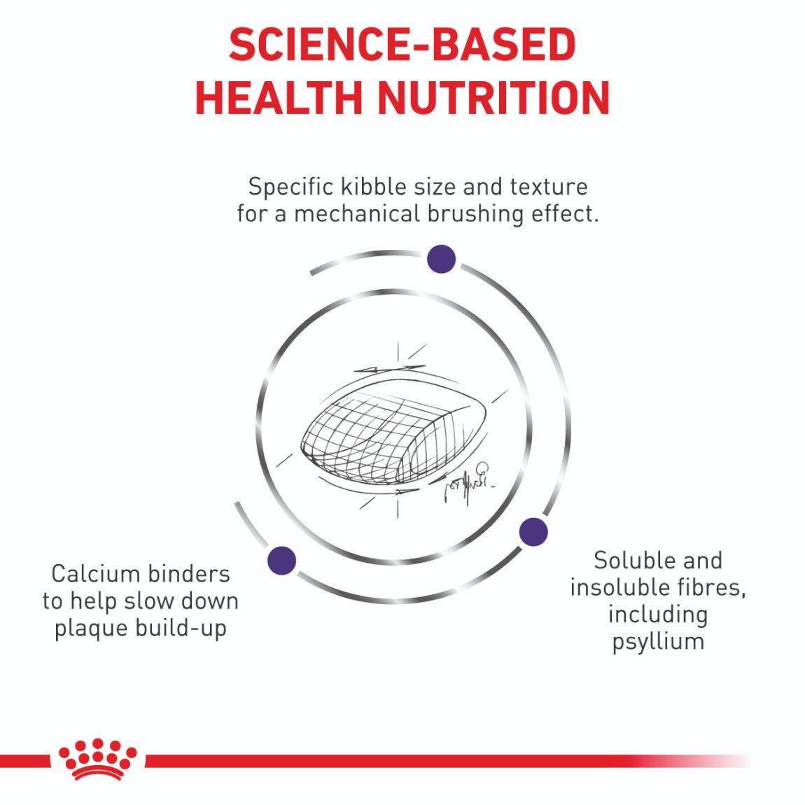 Royal Canin VET Dental Dry Cat Food