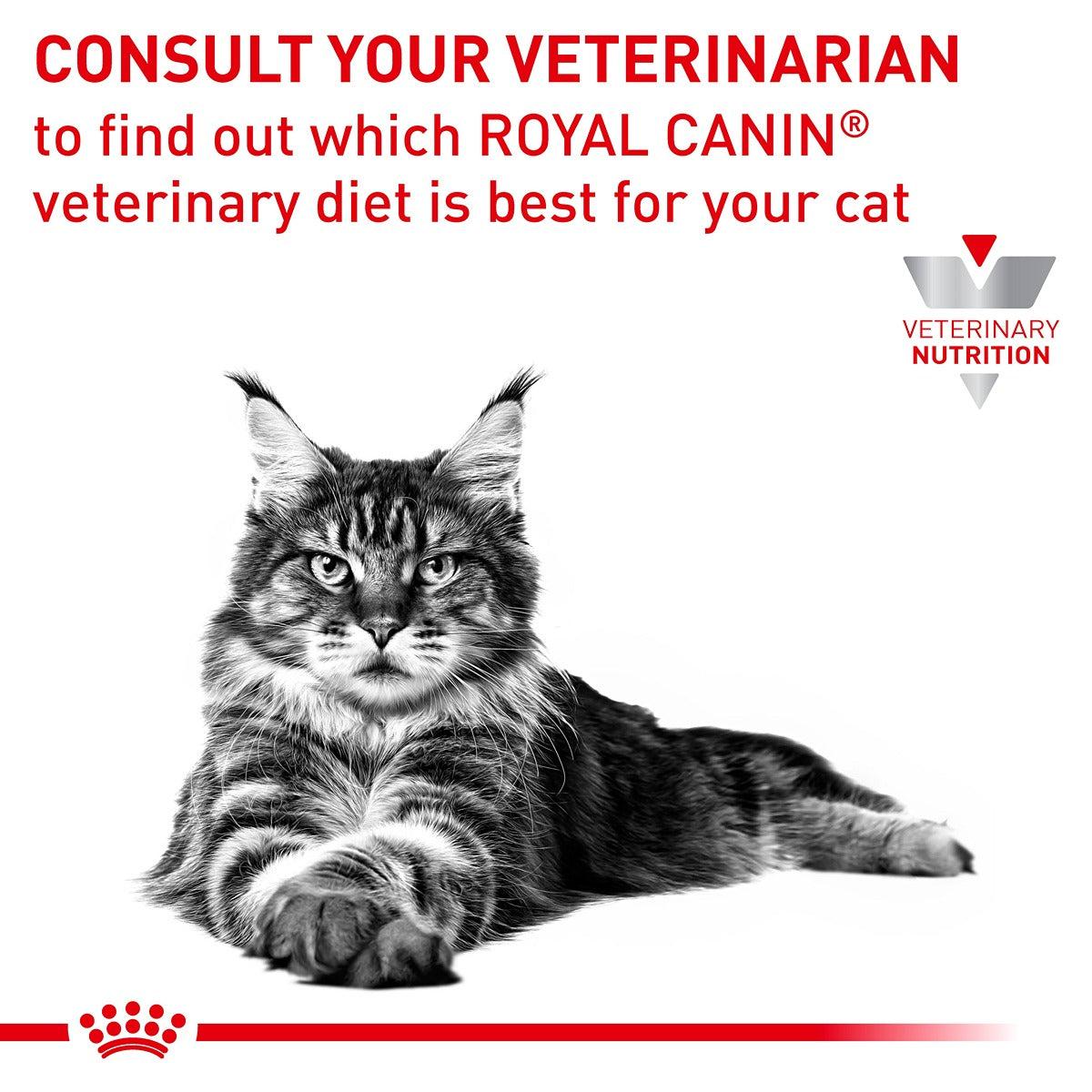 Royal Canin VET Anallergenic Dry Cat Food