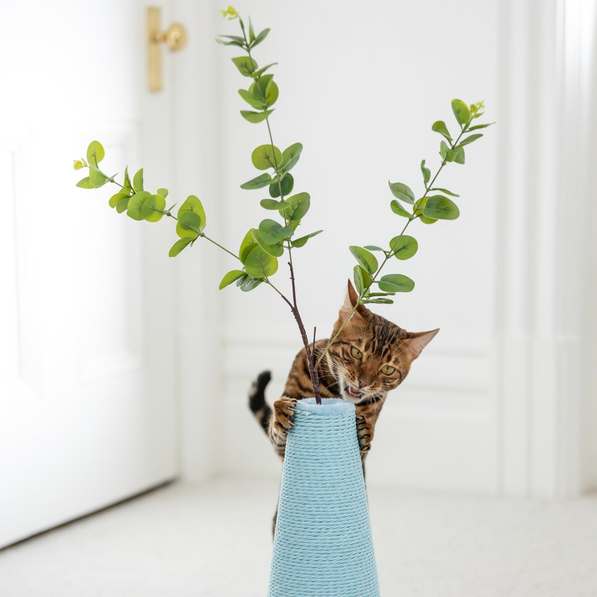 Pet Pals Flower Vase Cat Scratcher