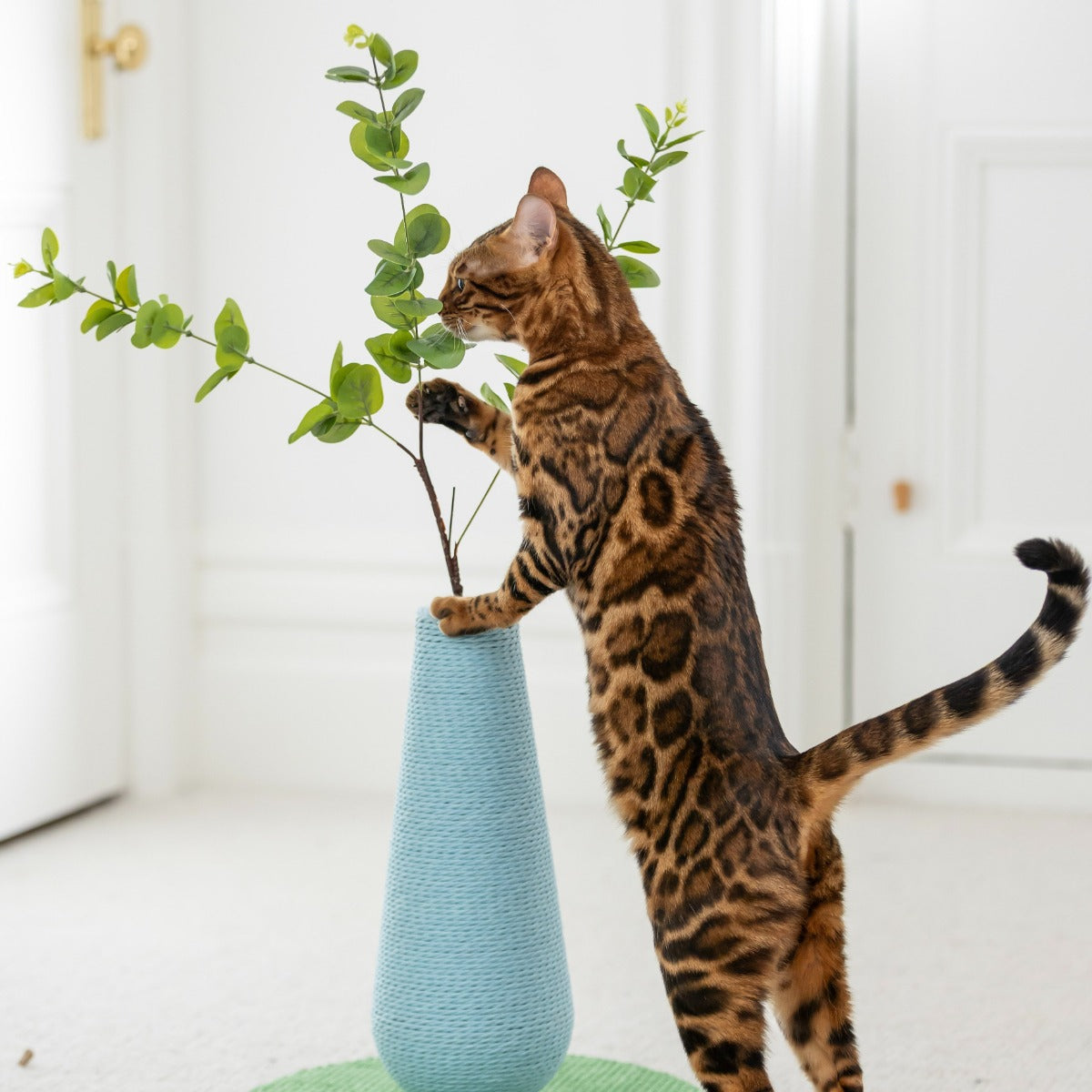 Pet Pals Flower Vase Cat Scratcher