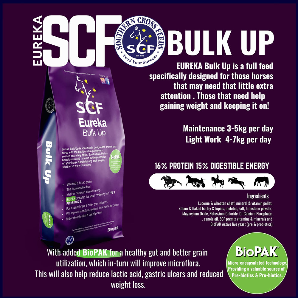 Eureka Bulk Up 20kg