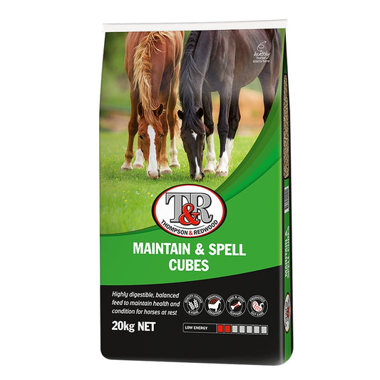 T&R Maintain & Spell Cubes Horse Feed