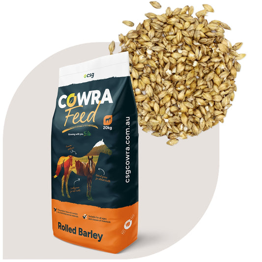 Cowra Feed Steam Rolled Barley