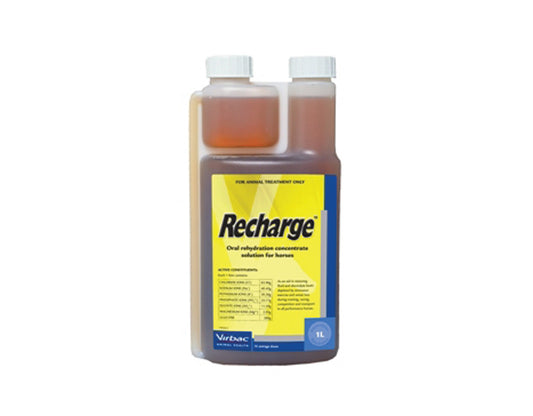 Virbac Recharge Concentrated Electrolyte Solution for Horses