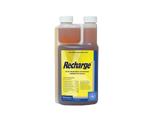 Virbac Recharge Concentrated Electrolyte Solution for Horses 1L