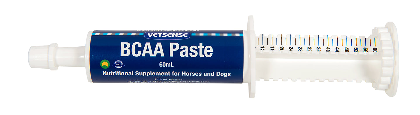 Vetsense BCAA Paste