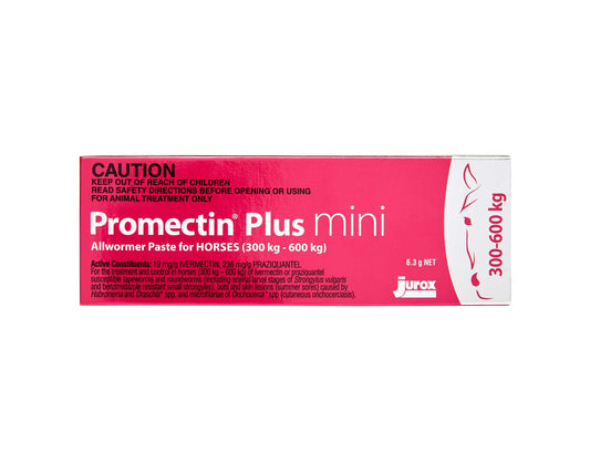 Promectin Plus Mini Horse Allwormer