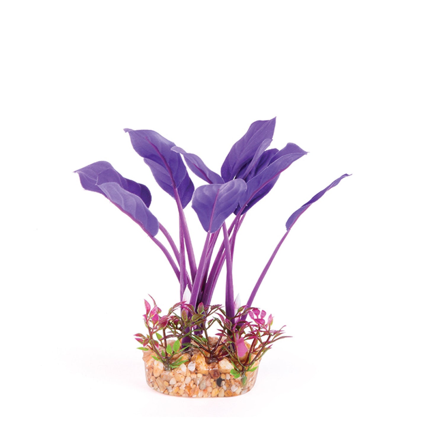 Kazoo Silk Plant Thin Leaf Purple & Orange - Small