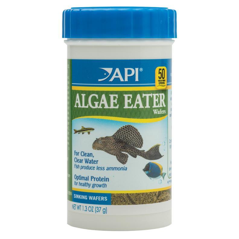 API Algae Eater Wafers