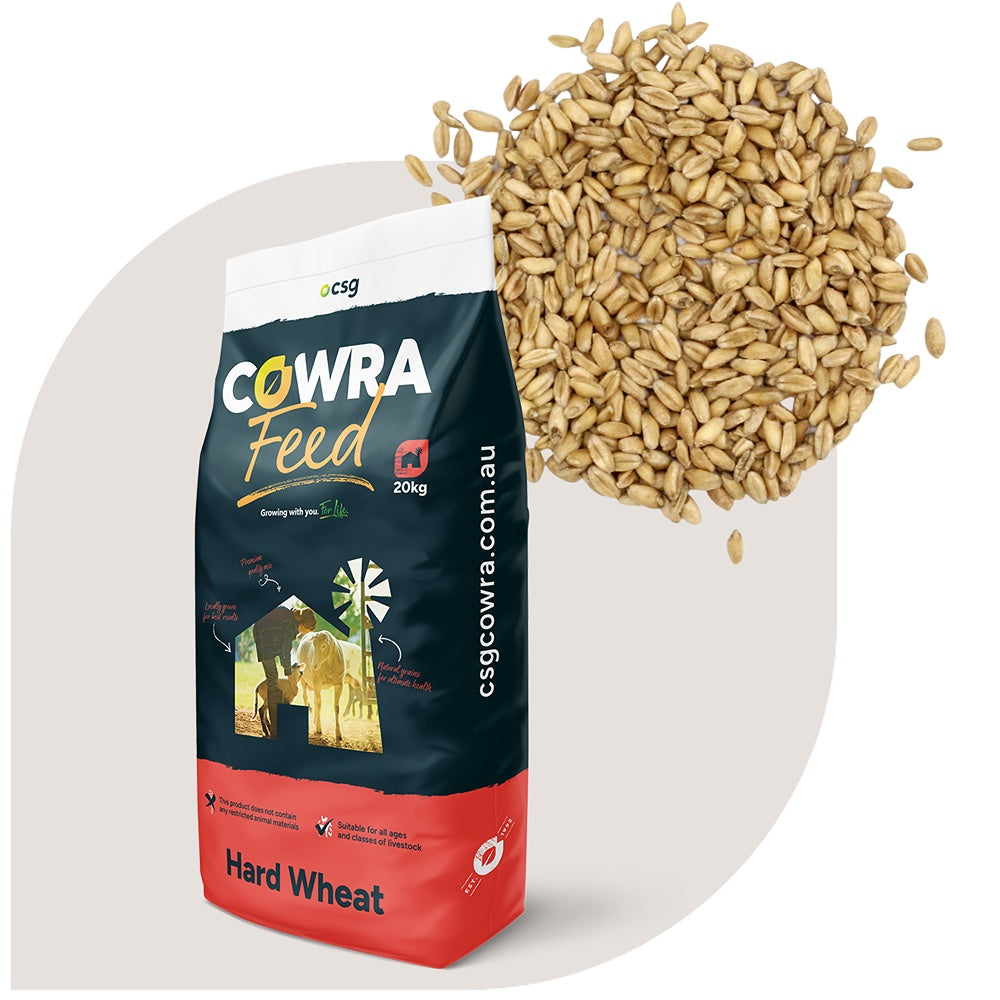 Cowra Feed Livestock Hard Wheat Double Cleaned
