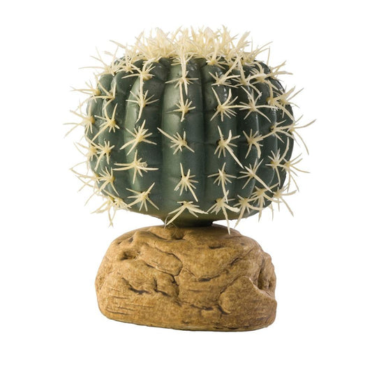 Exo Terra Barrel Cactus Small 7cm