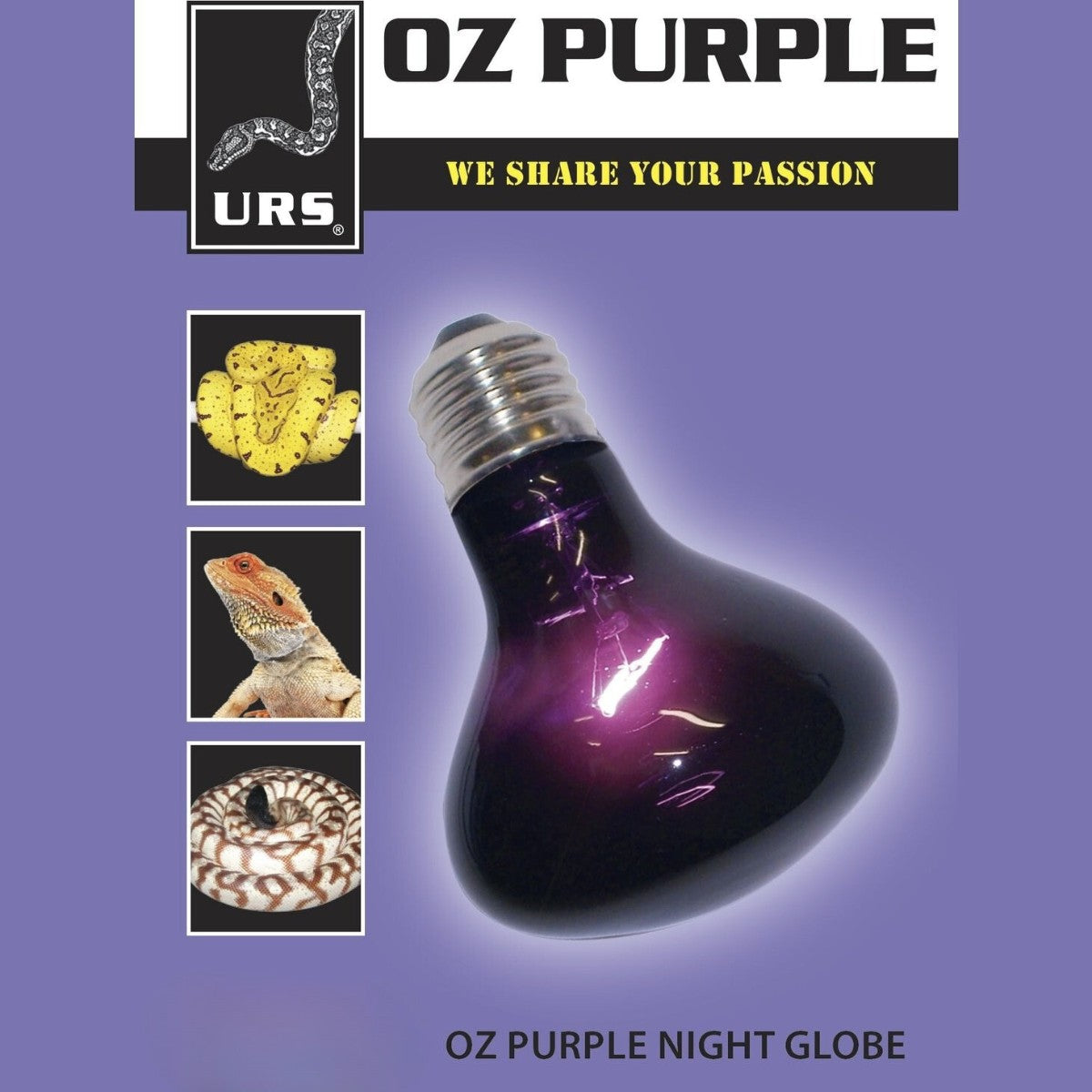 URS - Oz Purple Night Globe