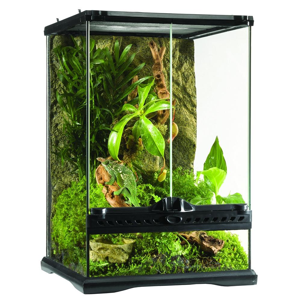 Exo Terra Mini Tall Terrarium 30 x 30 x 45cm