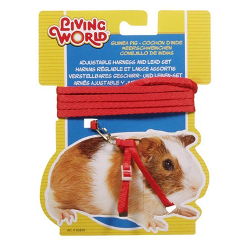 Living World Guinea Pig Harness & Lead Set