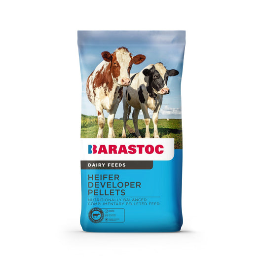 Barastoc Heifer Developer