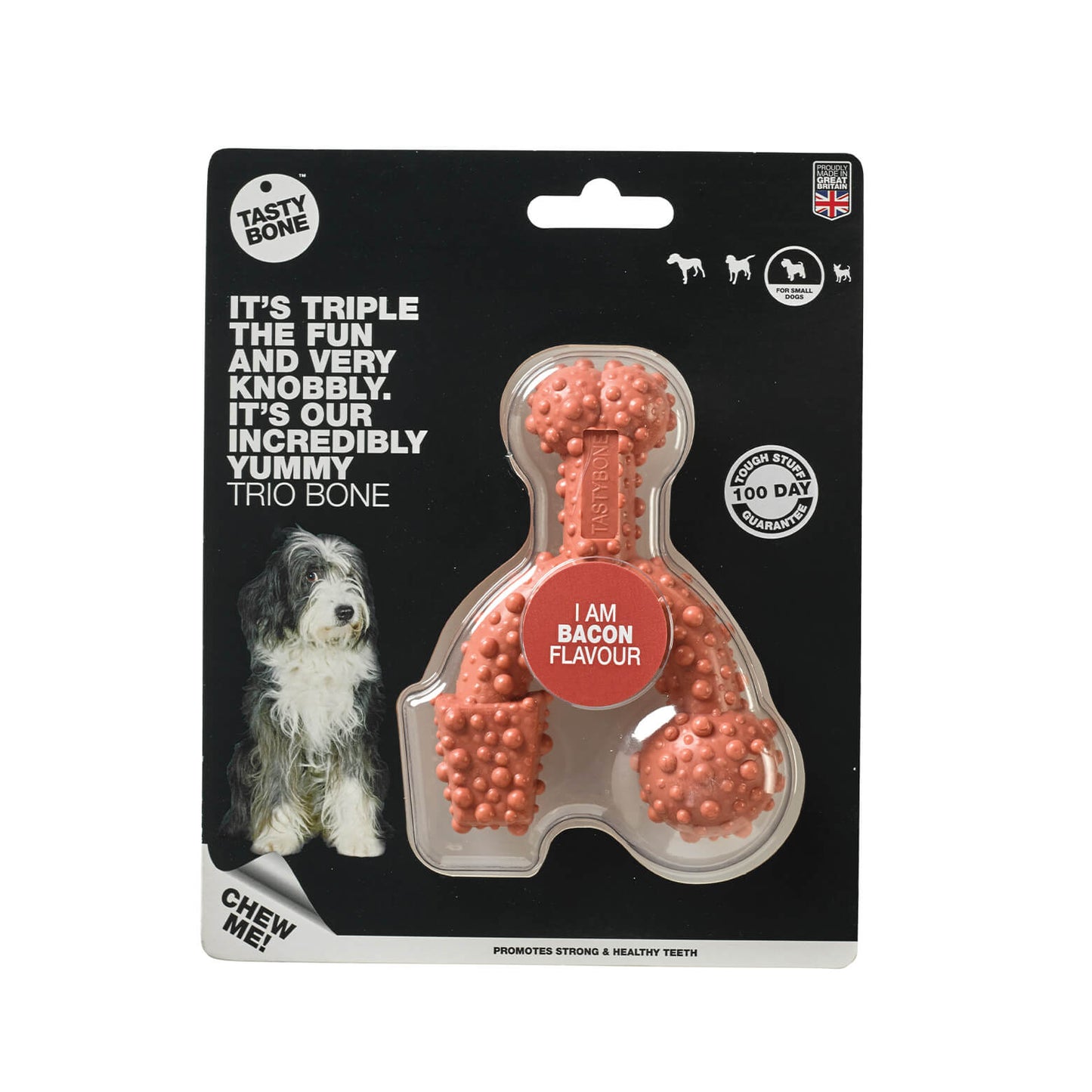 Tasty Bone Nylon Trio Bacon