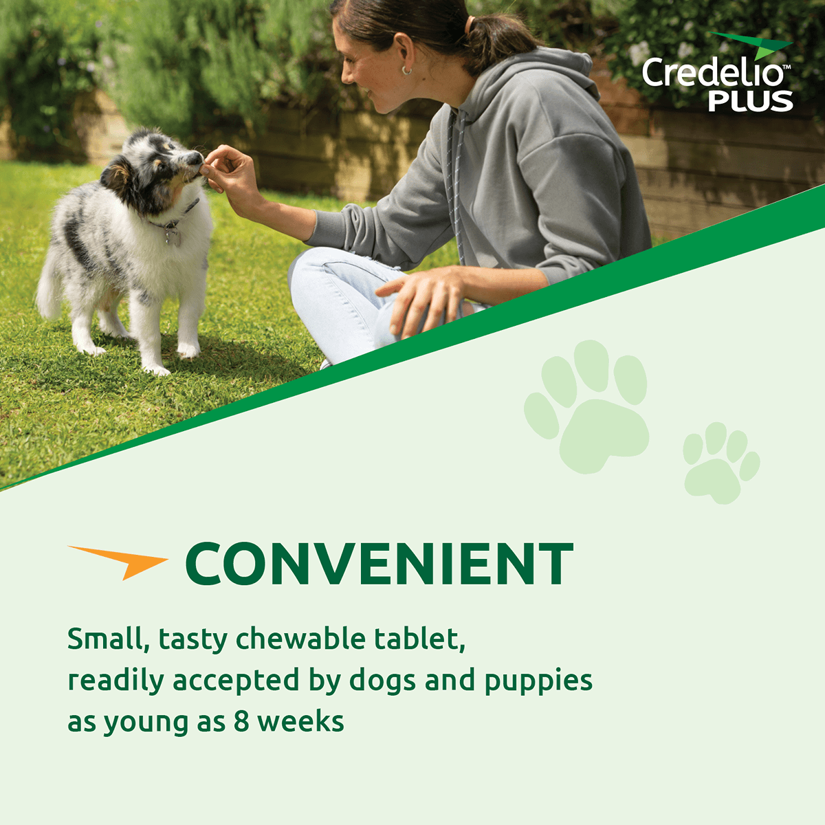 Credelio Plus Chewable Tablets For X-Large Dog 22-45kg