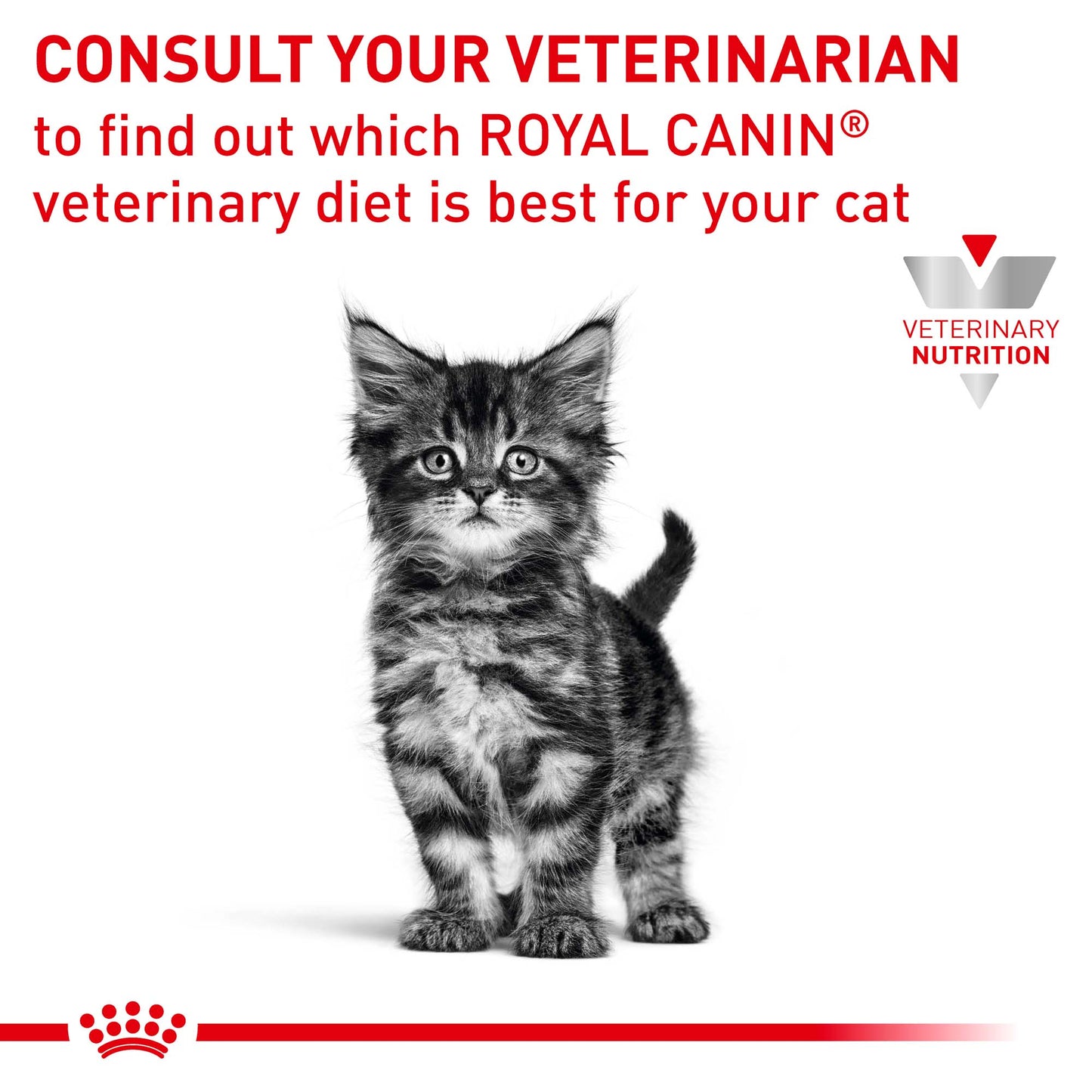 Royal Canin VET Gastrointestinal Wet Kitten Food 195g