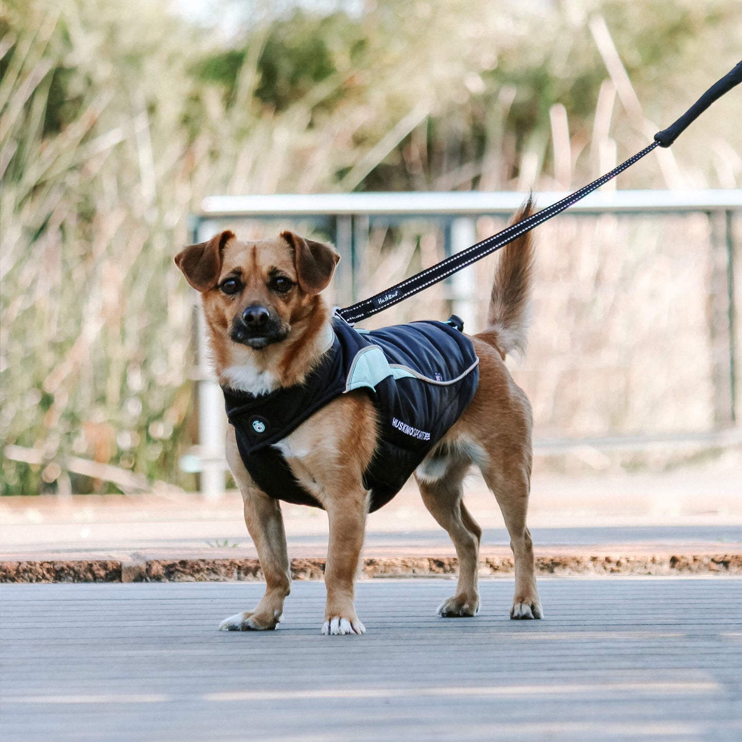 Huskimo Dog Coat Sherpa