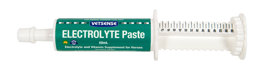 Electrolyte Paste