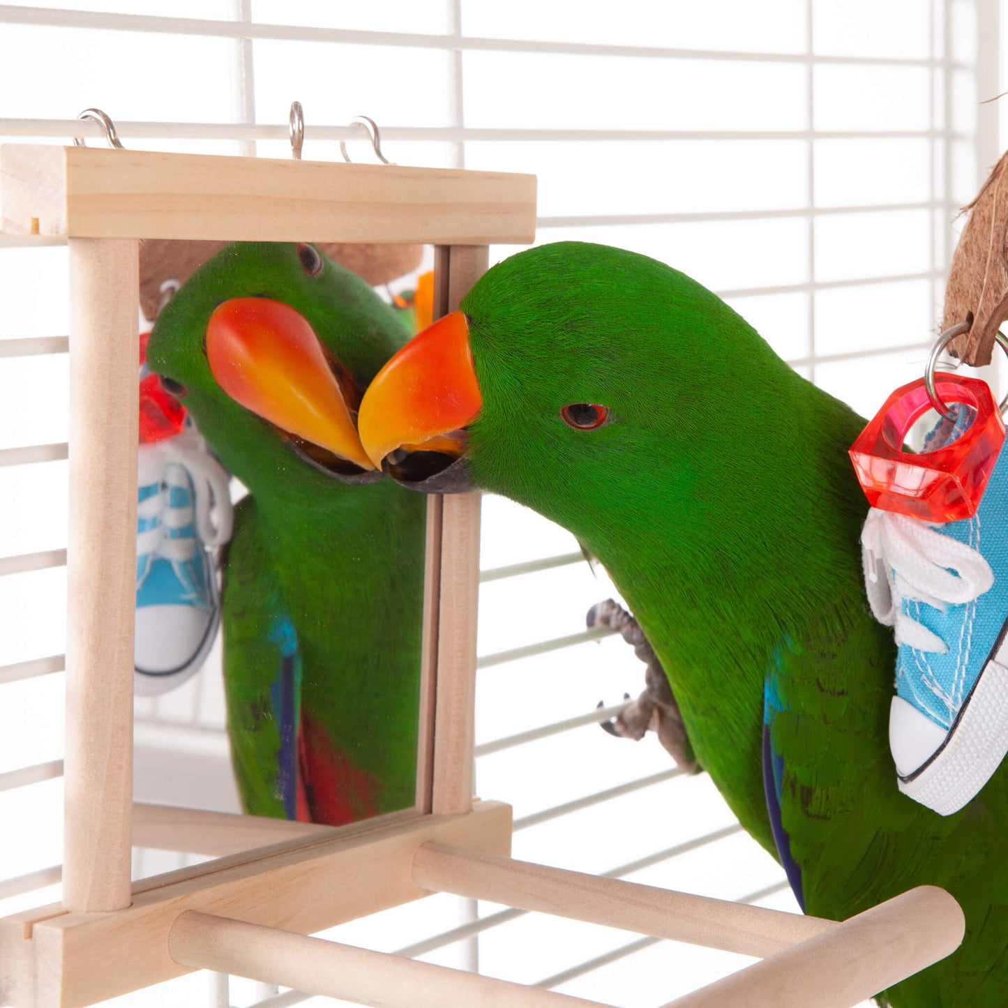 Kazoo Bird Mirror with Wooden Perch