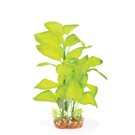 Kazoo Silk Plant Large Leaf Green - Large