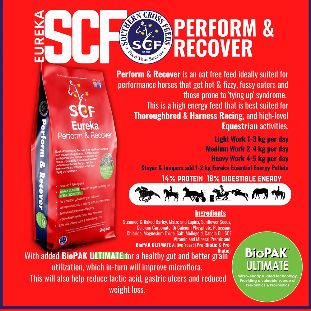 Eureka Perform & Recover 20kg