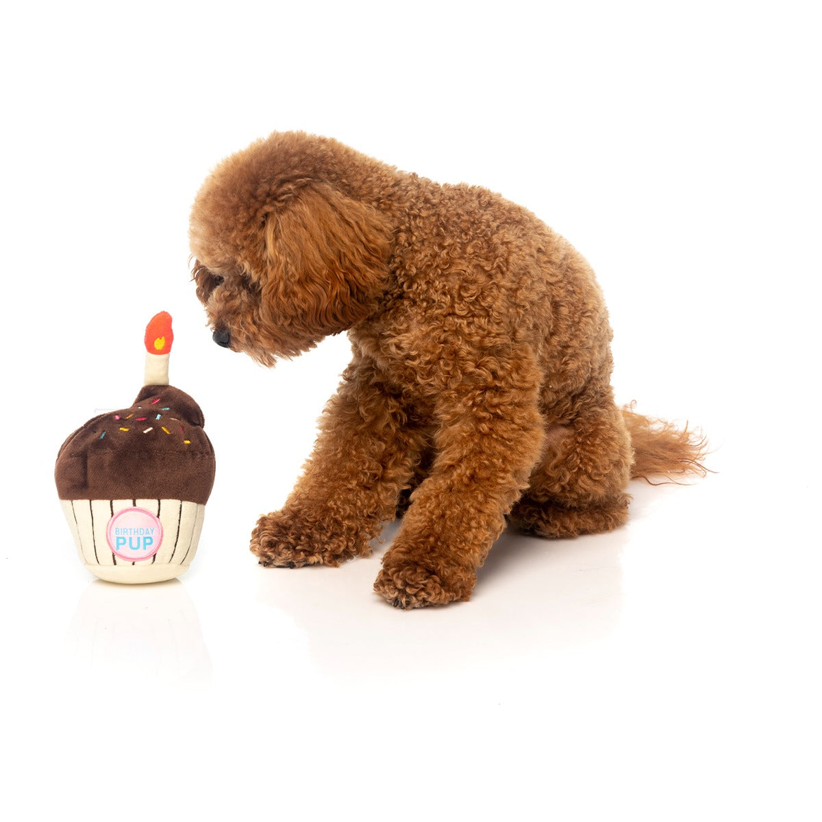 FuzzYard Birthday Cake Dog Toy